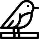 Aviário